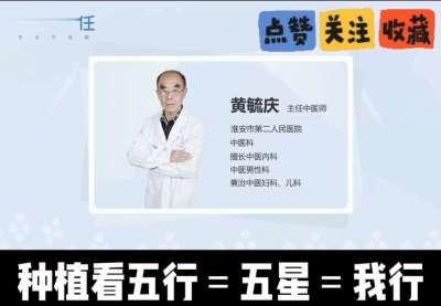 中药材淫羊藿怎么种？听专家一次讲明白！不挑地块好管理，耐寒耐旱省心省力，新手也能轻松上手，药用价值高、市场需求稳，妥妥的增收好品种～ 从生长习性到采收要点，干货满满无废话，种植疑问直接问，一对一答疑解