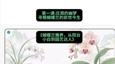 第一节：庄周的幽梦：寻根蝴蝶兰的前世今生，课程：《蝴蝶兰雅养六讲：从阳台小白到园艺达人》#识农AI