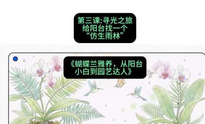 第三节：寻光之旅：给阳台找一个&ldquo;仿生雨林&rdquo;，课程：《蝴蝶兰雅养六讲：从阳台小白到园艺达人》#识农AI