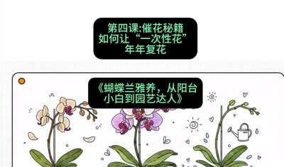 第四节：催花秘籍：如何让&ldquo;一次性花&rdquo;年年复花，课程：《蝴蝶兰雅养六讲：从阳台小白到园艺达人》#识农AI