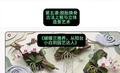 第五节：脱胎换骨：古法上板与立体造景艺术，课程：《蝴蝶兰雅养六讲：从阳台小白到园艺达人》#识农AI