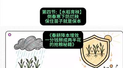 第四节：【水稻育秧】倒春寒下防烂秧，保住苗子就是保本