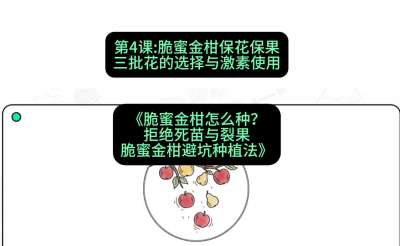 第4节：脆蜜金柑保花保果：三批花的选择与激素使用，课程：《脆蜜金柑怎么种？拒绝死苗与裂果，脆蜜金柑8步避坑种植法》#识农AI