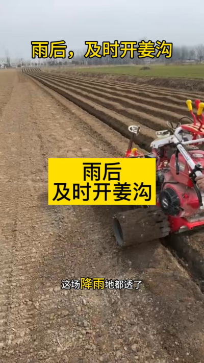 雨后，及时开姜沟！