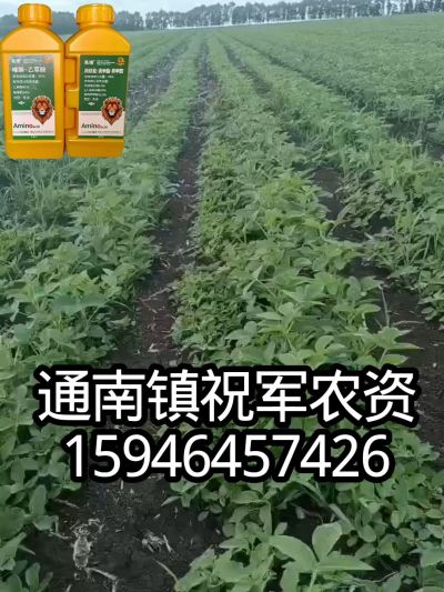 大豆苗前封闭，可封红根苋菜，灰菜，兰花菜，野豆子，捞豆秧等恶性杂草，封杀兼备的高端产品。