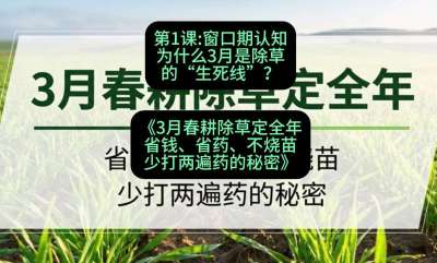 第1节：窗口期认知，为什么3月是除草的&ldquo;生死线&rdquo;？，课程：《3月春耕除草定全年：省钱、省药、不烧苗、少打两遍药的秘密》