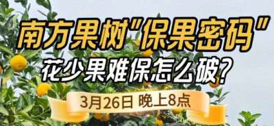 《细说农技》守住全年丰收！李军开讲南方果树保果技术，｜3 月 26 日晚 8 点