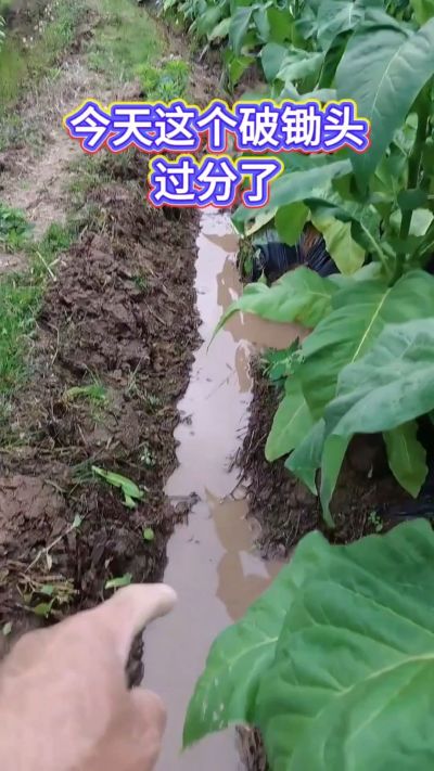 差点和我的脚丫说拜拜