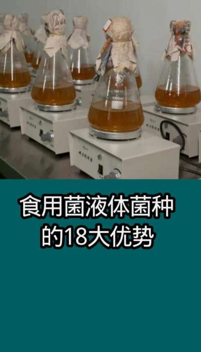 食用菌      食用菌液体菌种的18大优势
