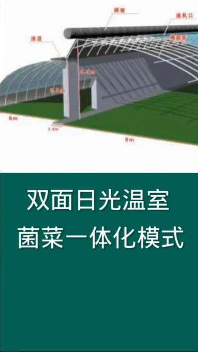 双面日光温室菌菜一体化模式，为现代农业利用设施的一种高效种植模式。食用菌排出二氧化碳为蔬菜生长所需提供气体，蔬菜排出氧气正好为食用菌提供生长所需的氧气，彼此促进生长，是现代农业发展的一种有效途径。