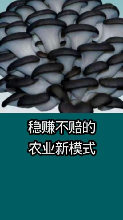 稳赚不赔的农业新模式