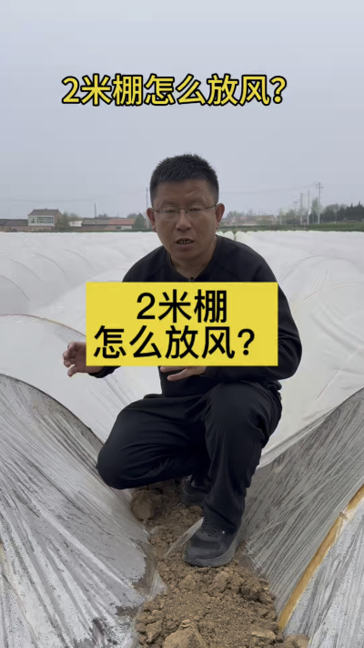 2米大姜棚怎么放风？