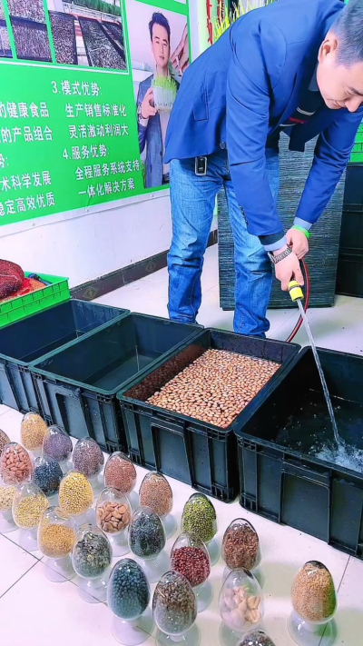 
自己种花生芽，泡种最关键！试过好几次才明白，挑对种子、水温合适、别泡太久，这三点做好了，芽子长得又快又整齐。你们在家种的时候，泡种有没有踩过坑呀？
#花生芽怎么种 #家庭种菜小技巧 #新手种芽苗菜 
