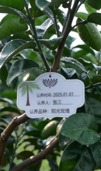 果园生意难？
客户少、预售难、溯源弱、复购低？
用 SaaS 认养平台，一键解决：
✅ 认养挂牌，让客户为 &ldquo;自己的树&rdquo; 买单，提前锁定全年收益
✅ 可视化监控，手机端实时看生长，客户信任度翻倍
✅ 