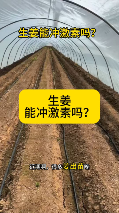 生姜能冲激素吗？