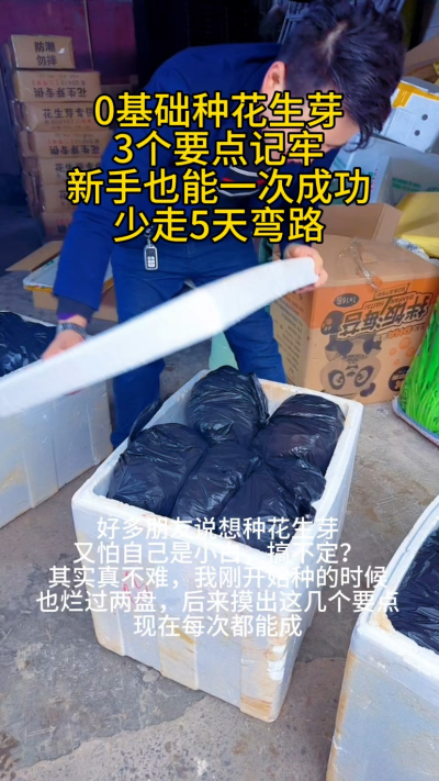 新手种花生芽，别上来就瞎试！我刚开始没经验，光种子就浪费了半斤&mdash;&mdash;泡太久烂了，没遮光芽子红得没法吃，浇水太猛直接烂根，三盘全废了。
后来才摸透，新手就抓这3点：
❶ 种子挑饱满没破壳的，泡6-8小时赶