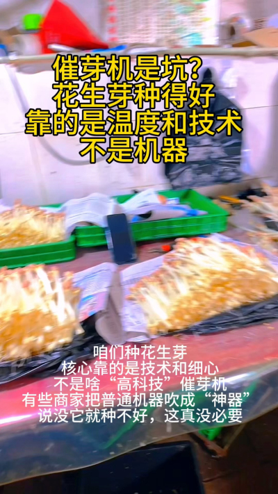 #心系三农服务三农 在家种花生芽的第7天，终于悟了&mdash;&mdash;哪需要什么 fancy 设备，一个塑料盒、一块湿布，就能种出脆嫩多汁的芽菜。
刚开始总怕失败，照着教程一步步来：温水泡种6小时，铺湿纱布，每天早晚