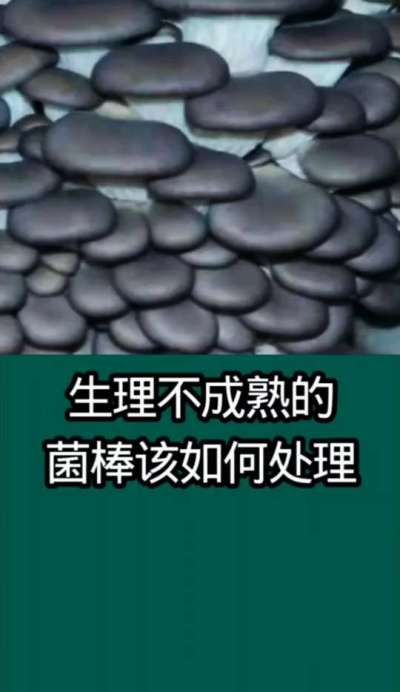 生理不成熟的菌棒该如何处理