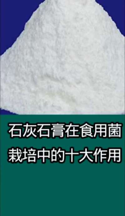 石灰石膏在食用菌栽培中的十大作用