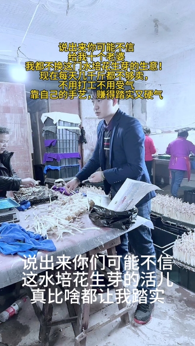 &ldquo;谁懂啊？这水培花生芽的营生，真让我把日子过出了劲儿&mdash;&mdash;
不用打工受气，不用背井离乡，每天在棚里看看芽子长势，打包发货，几千斤都不够抢。累是累点，但手里的钱赚得明明白白，心里踏实得很。

有人说&lsquo;做生