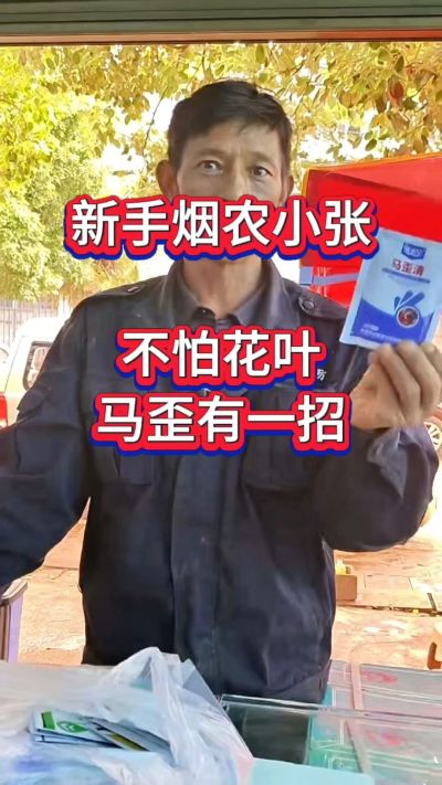 花叶马歪不用愁，遇到这类问题，选马歪清更靠谱