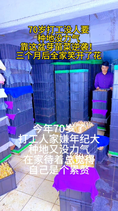 70岁创业能有多香？
&bull; 打工没人要，种地没力气，靠这盆芽苗菜逆袭

&bull; 三个月收入超儿子工资，全家从反对到支持

&bull; 不生病、不防疫、没异味，四季都能种

有人说&lsquo;年纪大了就该享福&rsquo;，可我觉得：
能