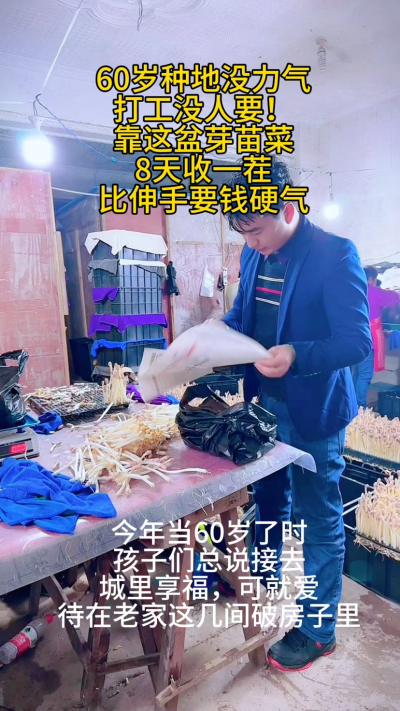 60岁的农村老人，不靠儿女靠双手：
&bull; 几间老房改芽苗棚，8天收一茬

&bull; 每天就管两次水，比种地轻松十倍

&bull; 赚的钱够花，还能帮衬孙子孙女

有人说&lsquo;年纪大了就该闲着&rsquo;，可我觉得：
能自食其力，能