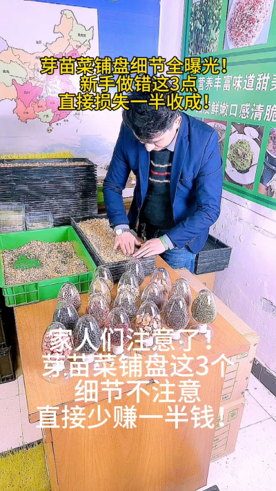 芽苗菜铺盘的3个致命细节，你中招了吗？
⚠️ 密度过大：根部缺氧发霉
⚠️ 铺盘不平：浇水不均匀
⚠️ 不预发芽：成活率暴跌30%
我把这些血泪教训整理成3步清单，新手照做少走弯路！
你铺盘时遇到过哪