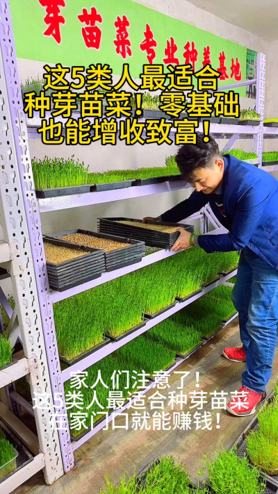 &ldquo;这5类人最适合种芽苗菜，在家门口就能增收！
✅ 时间灵活：宝妈、退休老人
✅ 低成本创业：返乡青年、上班族
✅ 家门口就业：农村留守人员

我根据100+学员案例，整理出《芽苗菜新手入门手册》，点击