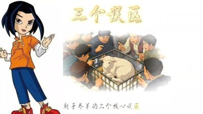 对于新手养殖三大误区的讲解，以及贴合实地的价格计算，从而使新人养殖来判断自己走哪个方向