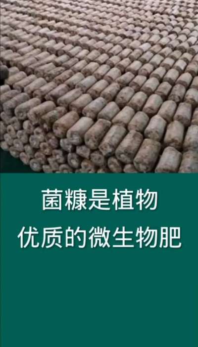 菌糠是植物优质的微生物菌肥